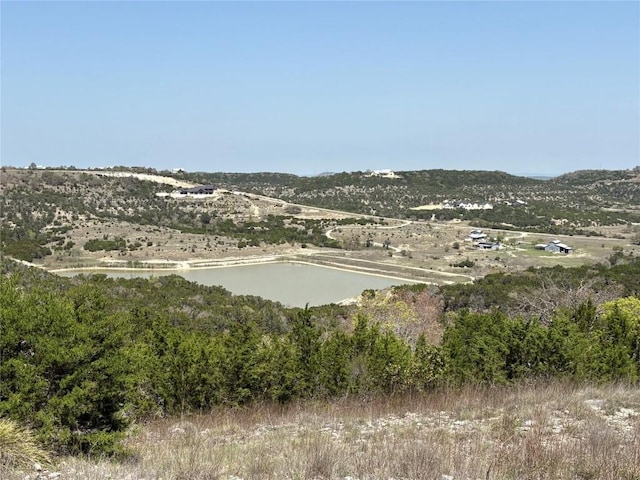 LOT109 Oryx Cv, Blanco, TX 78606 - photo 8