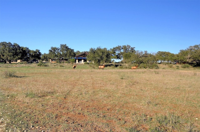 LOT109 Oryx Cv, Blanco, TX 78606 - photo 20