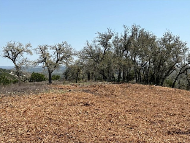 LOT109 Oryx Cv, Blanco, TX 78606 - photo 22