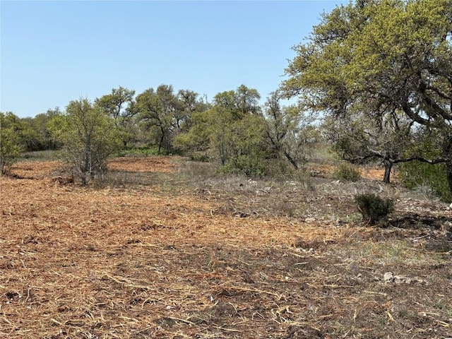 LOT109 Oryx Cv, Blanco, TX 78606 - photo 23