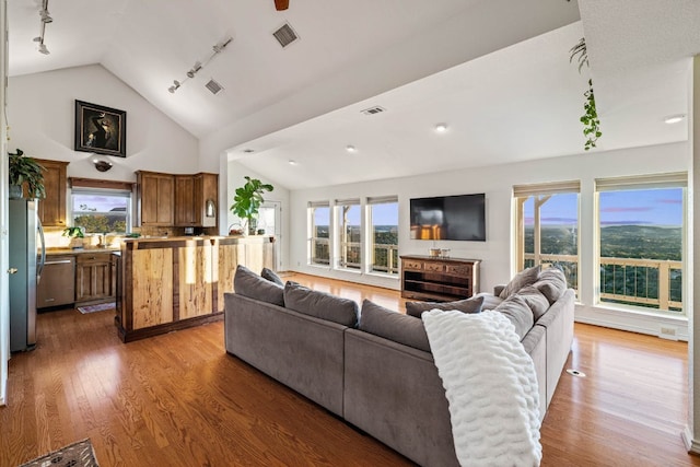8132 Breeze Way, Jonestown, TX 78645 - living room with track lighting, lofted ceiling, healthy amount of natural light, and wood finished floors