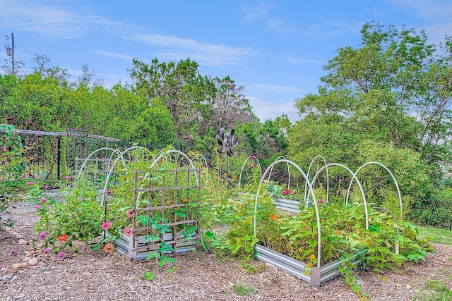 8132 Breeze Way, Jonestown, TX 78645 - view of yard with a garden