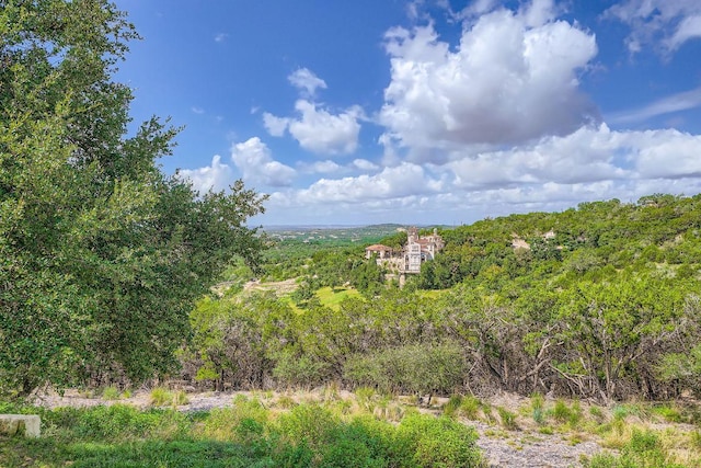 8132 Breeze Way, Jonestown, TX 78645 - view of tree filled area