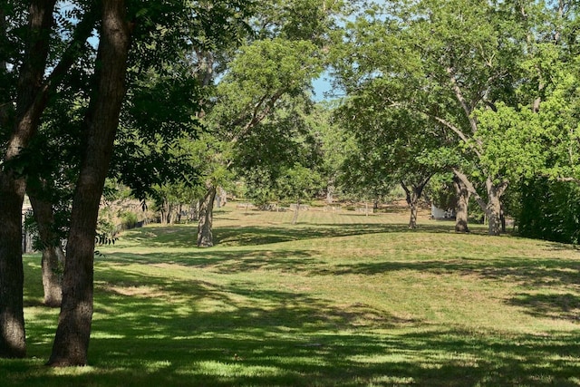 2701 River Hills Rd, Austin, TX 78733 - photo 31