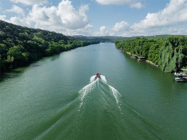 2701 River Hills Rd, Austin, TX 78733 - photo 34