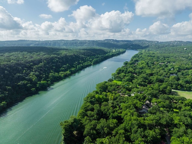 2701 River Hills Rd, Austin, TX 78733 - photo 5