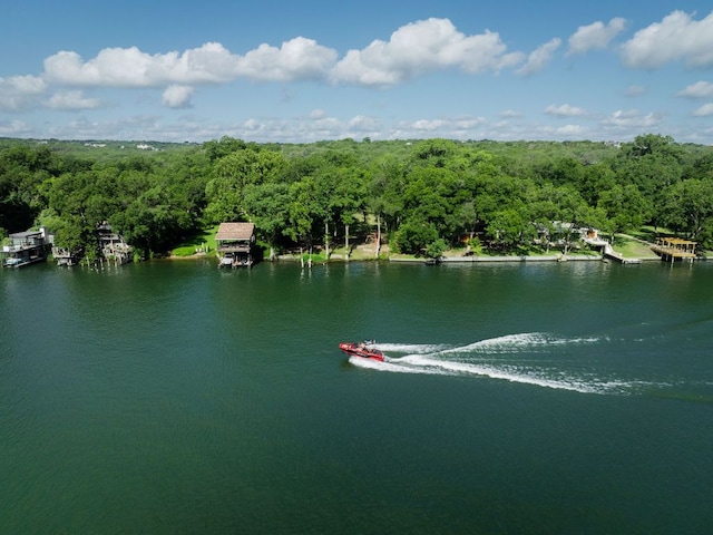 2701 River Hills Rd, Austin, TX 78733 - photo 9