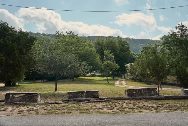 2701 River Hills Rd, Austin, TX 78733 - photo 18
