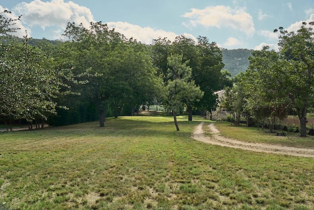 2701 River Hills Rd, Austin, TX 78733 - photo 19