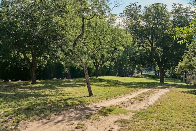 2701 River Hills Rd, Austin, TX 78733 - photo 23
