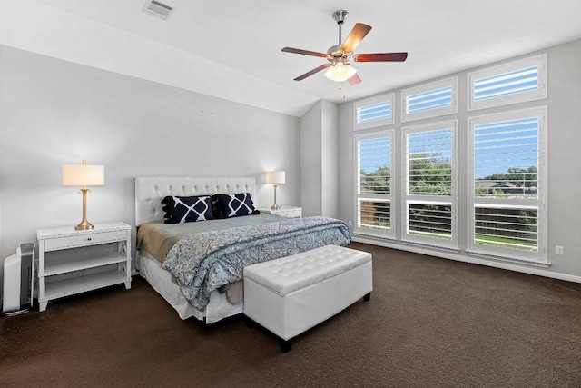 1702 Ambling Trl, Cedar Park, TX 78613 - bedroom featuring multiple windows, dark colored carpet, and lofted ceiling