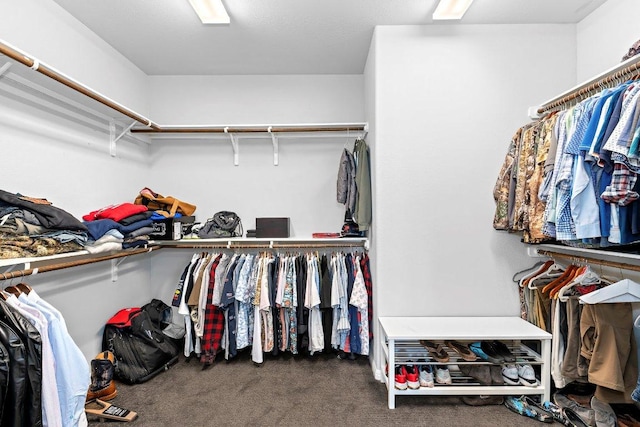 1702 Ambling Trl, Cedar Park, TX 78613 - walk in closet featuring carpet floors