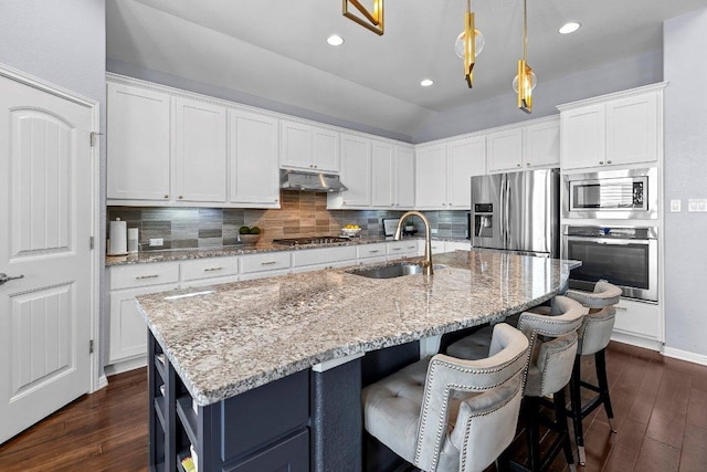 1702 Ambling Trl, Cedar Park, TX 78613 - kitchen with stainless steel appliances, under cabinet range hood, dark wood-style flooring, white cabinets, and vaulted ceiling