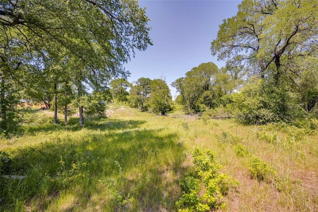 1507 E Bastrop Hwy, Austin, TX 78742 - photo 7