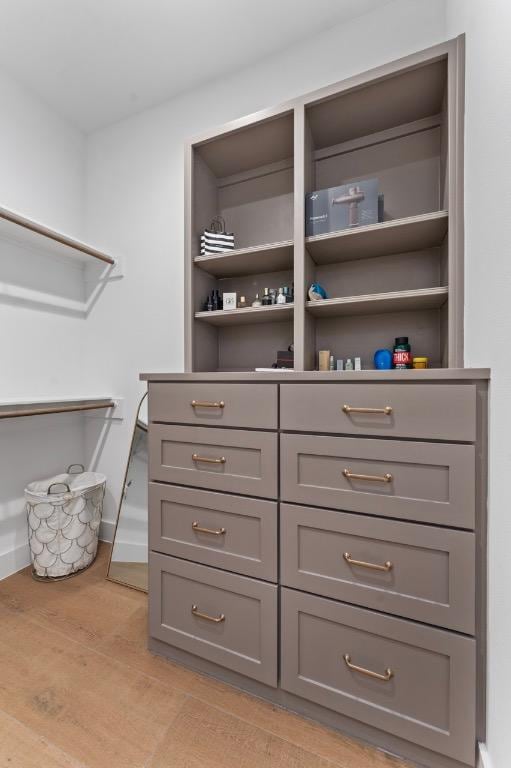 21408 Lakefront Dr, Lago Vista, TX 78645 - walk in closet with light wood-style flooring
