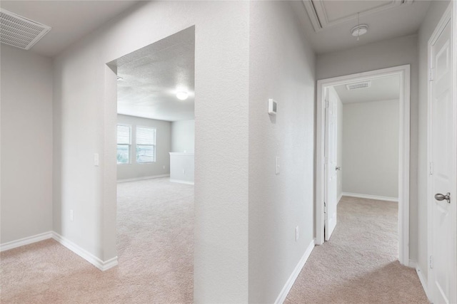 11329 River Plantation Dr, Austin, TX 78747 - photo 26