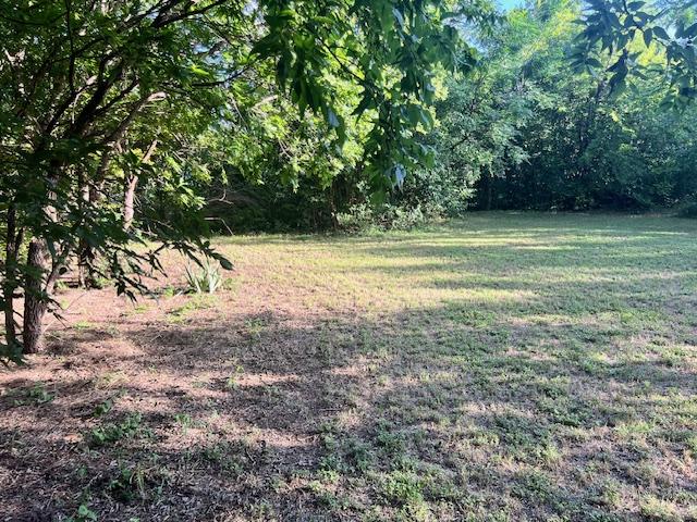 908 Glass Dr, Leander, TX 78641 - view of green lawn featuring a forest view