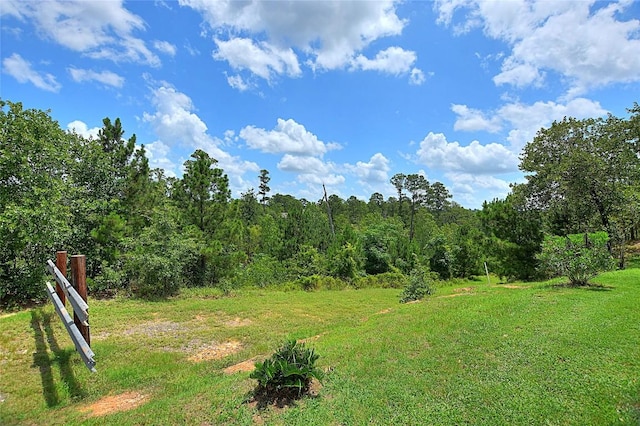 155 Pahalawe Ln, Bastrop, TX 78602 - photo 14