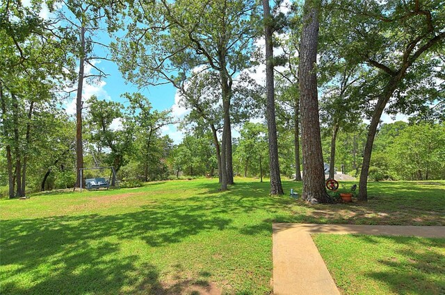 155 Pahalawe Ln, Bastrop, TX 78602 - photo 6