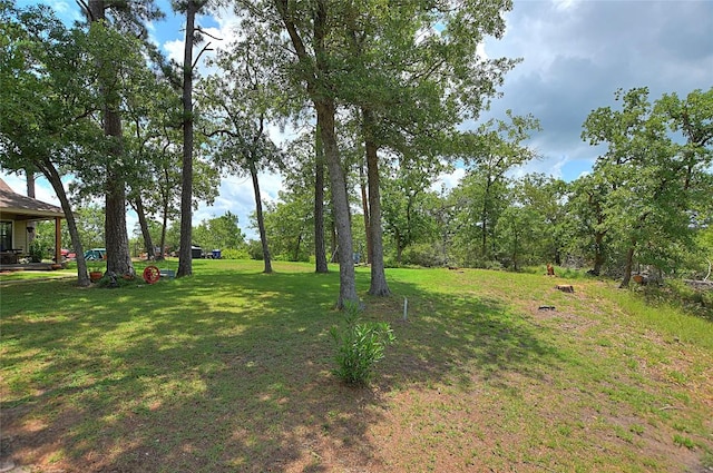 155 Pahalawe Ln, Bastrop, TX 78602 - photo 21
