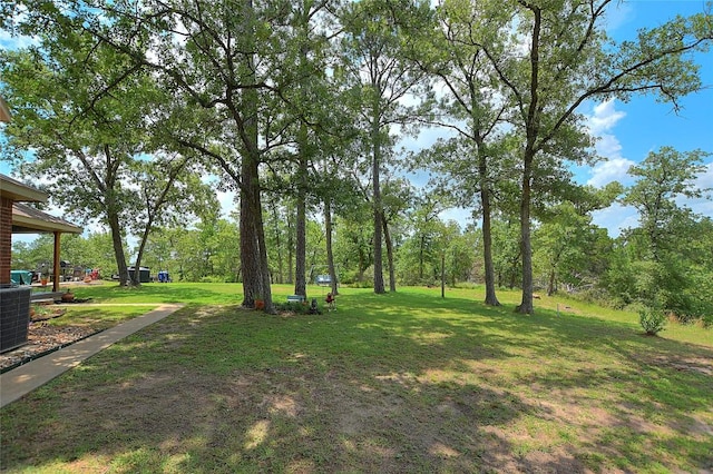 155 Pahalawe Ln, Bastrop, TX 78602 - photo 23