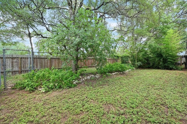8 Spalding Cir, Wimberley, TX 78676 - view of yard