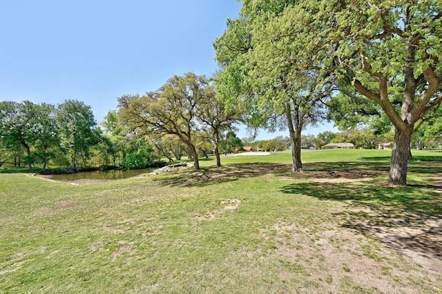 8 Spalding Cir, Wimberley, TX 78676 - view of green lawn
