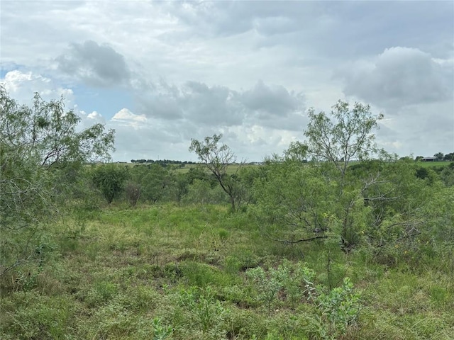 2121 County Road 420, Taylor, TX 76574 - photo 10