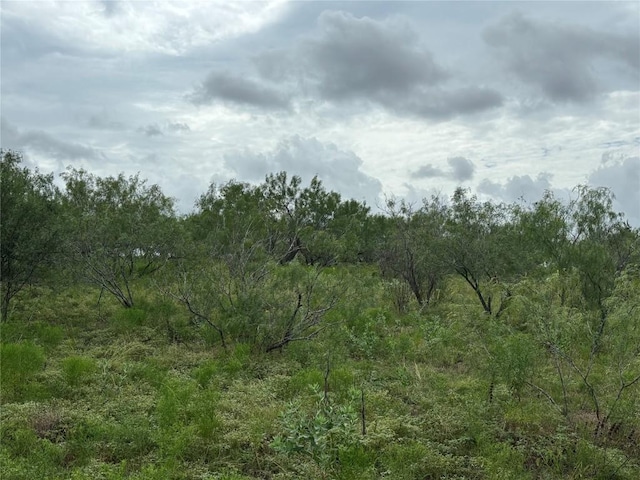 2121 County Road 420, Taylor, TX 76574 - photo 11