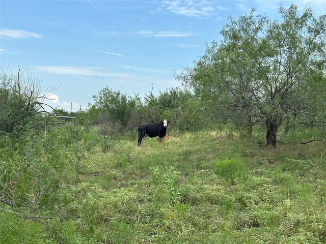 2121 County Road 420, Taylor, TX 76574 - photo 12