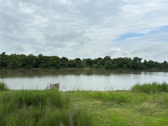 2121 County Road 420, Taylor, TX 76574 - photo 15