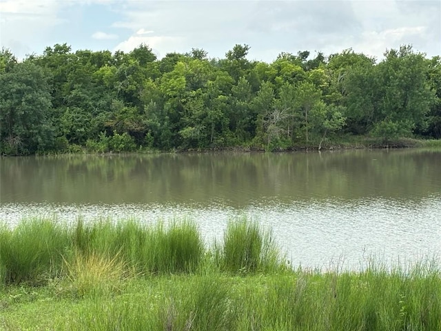 2121 County Road 420, Taylor, TX 76574 - photo 16