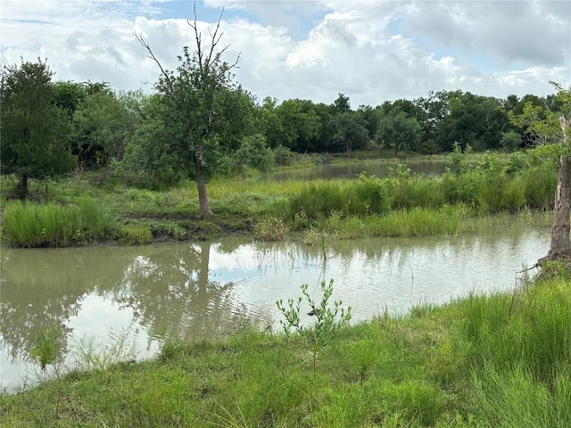 2121 County Road 420, Taylor, TX 76574 - photo 17