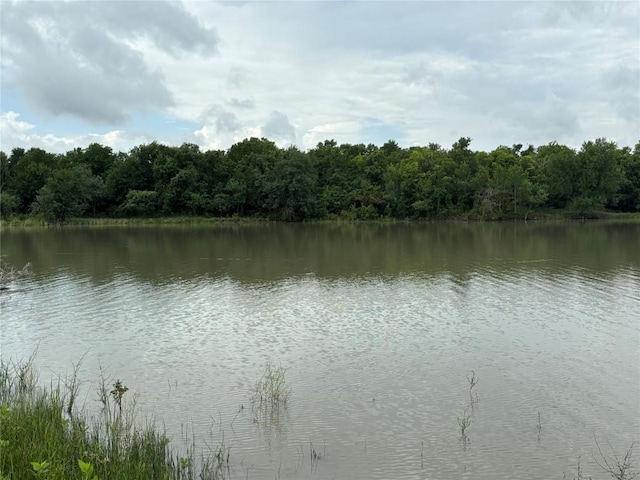 2121 County Road 420, Taylor, TX 76574 - photo 19