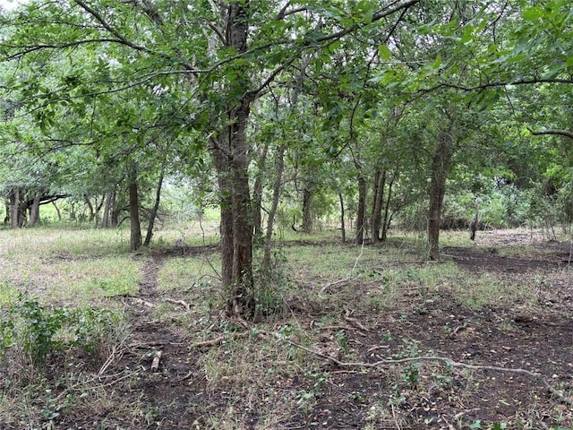 2121 County Road 420, Taylor, TX 76574 - photo 23