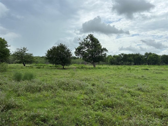 2121 County Road 420, Taylor, TX 76574 - photo 25