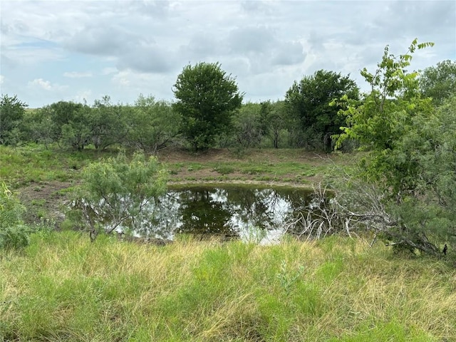 2121 County Road 420, Taylor, TX 76574 - photo 28