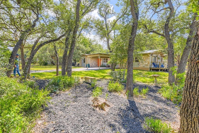 7704 Williamson Creek Dr, Austin, TX 78736 - photo 36
