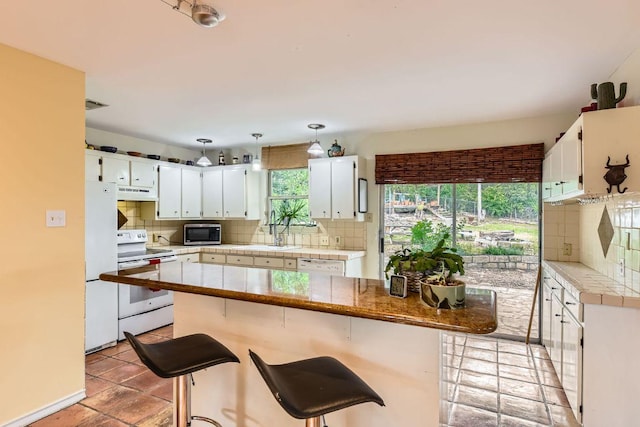 7704 Williamson Creek Dr, Austin, TX 78736 - photo 9
