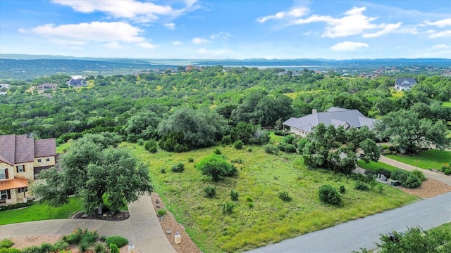 1036 Star Rdg, Spring Branch, TX 78070 - photo 3