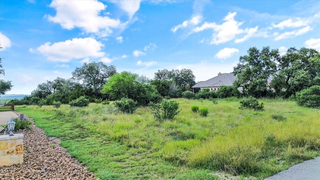 1036 Star Rdg, Spring Branch, TX 78070 - photo 8