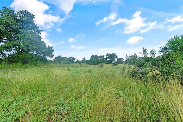 1036 Star Rdg, Spring Branch, TX 78070 - photo 9