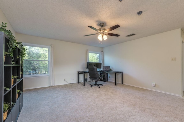 1104 Woodhollow Ln, Cedar Park, TX 78613 - home office featuring a textured ceiling, carpet floors, and ceiling fan