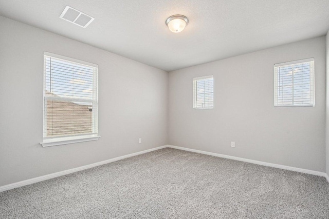 1007 Guadalupe Bass Rd, Hutto, TX 78634 - photo 29