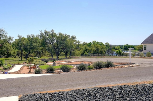 132 Frank Jones, Blanco, TX 78606 - photo 16