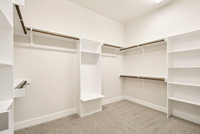 181 Benedum Way, Liberty Hill, TX 78642 - spacious closet with carpet