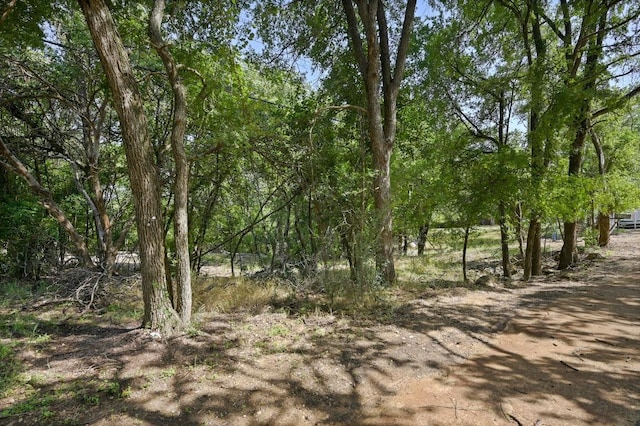 1602 Miami Dr, Austin, TX 78733 - photo 5