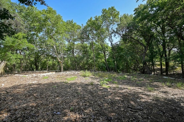 1602 Miami Dr, Austin, TX 78733 - photo 8