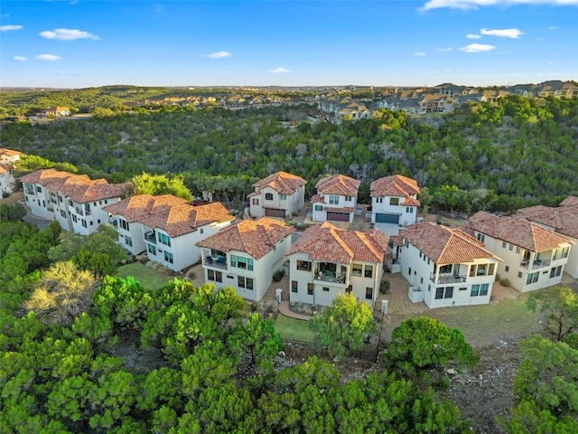 211 Honey Creek Ct, Austin, TX 78738 - photo 4