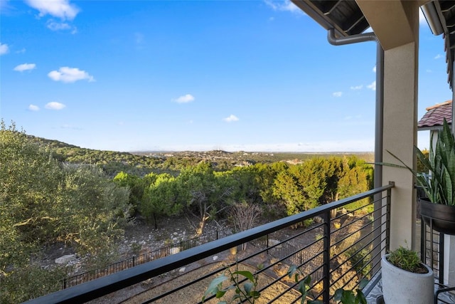 211 Honey Creek Ct, Austin, TX 78738 - photo 40